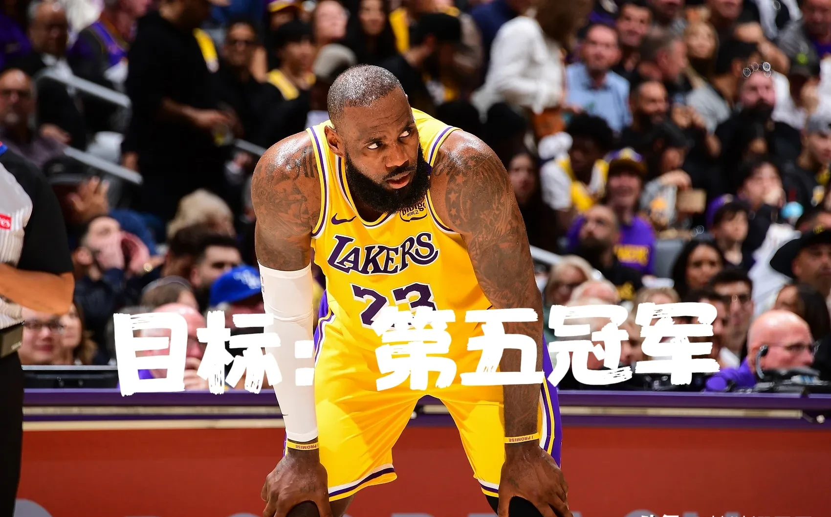  詹姆斯回归赛场，大胜首场状态亮眼，瑞士队观众沸腾！